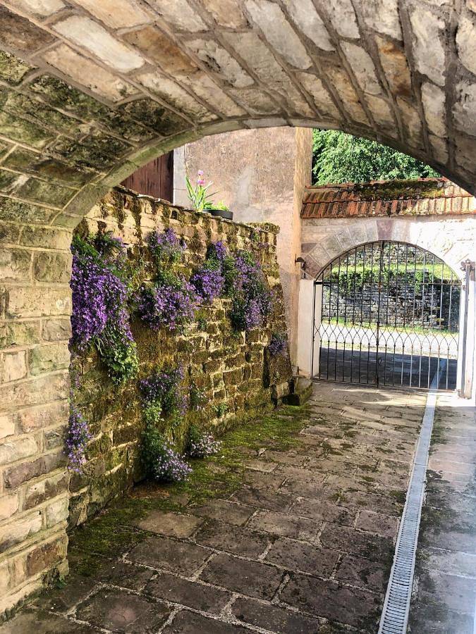 Gîte pour 4 personnes, avec vue et jardin dans Trémonzey