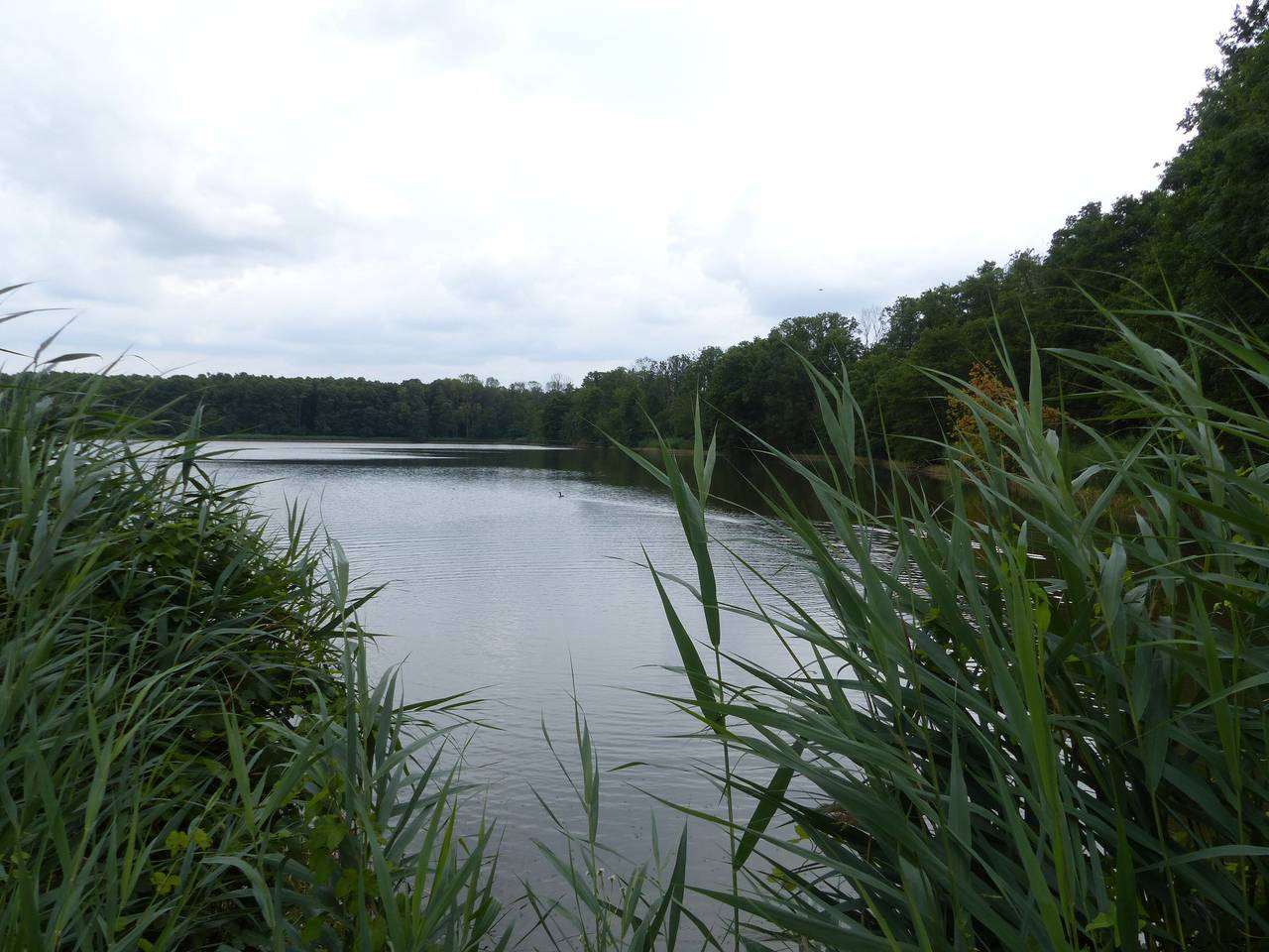 Vakantiehuis 'Jagdhaus Franz' met terras, foto 12