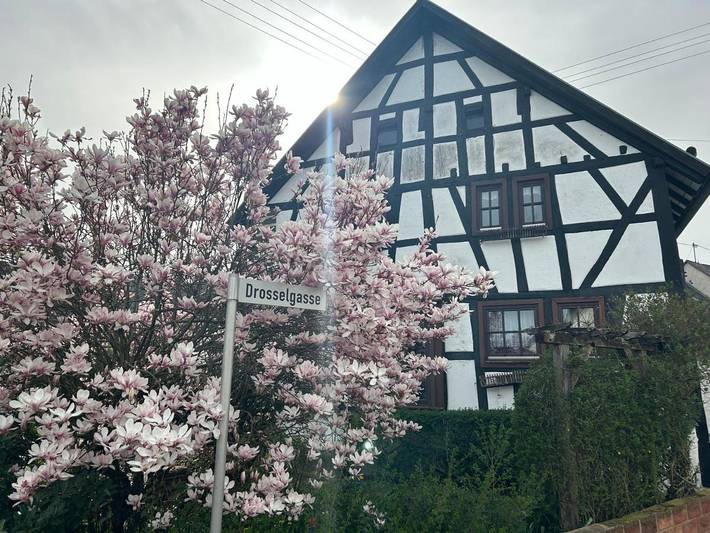 Ferienhaus für 5 Personen, mit Garten und Ausblick, kinderfreundlich in Daun - 2