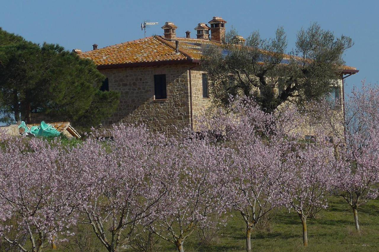 Agriturismo Il Sassolino in San Venanzo, Perugia e dintorni