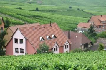 Gîte pour 4 personnes, avec terrasse et jardin à Hunawihr