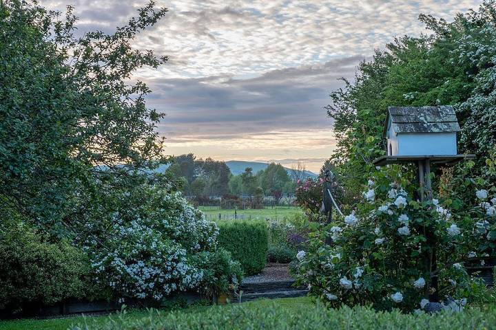 Holiday home for 4 people, with garden in Wellington
