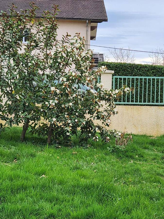Location de vacances pour 9 personnes, avec jardin, animaux acceptés à Saint-Amour - 3