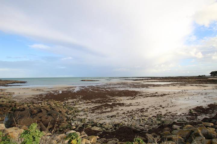 Gîte pour 6 personnes, avec jardin à Montfarville - 3