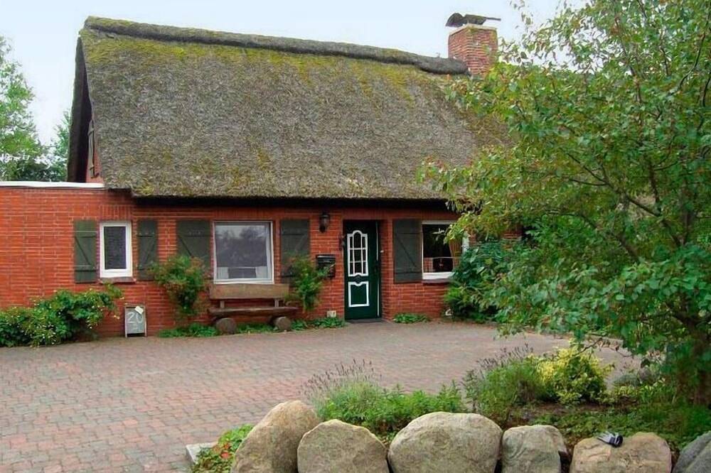 Ferienhaus \"Vier Pfoten Gollendorf\" für 5 Gäste und Hund mit Garten - Strandnah in Westfehmarn, Fehmarn