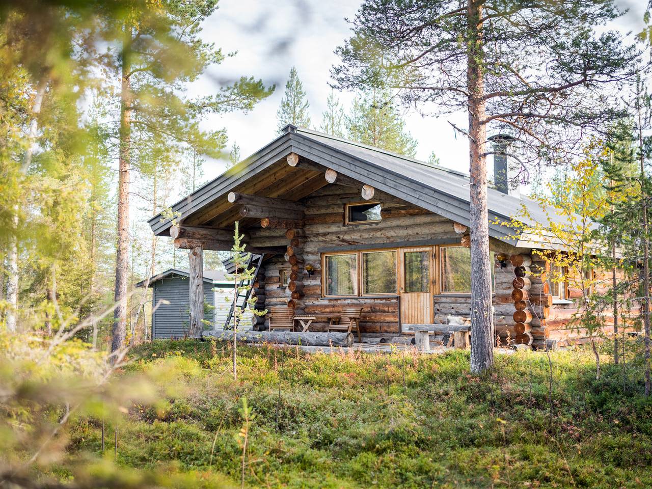 Kelosaajo in Lappland