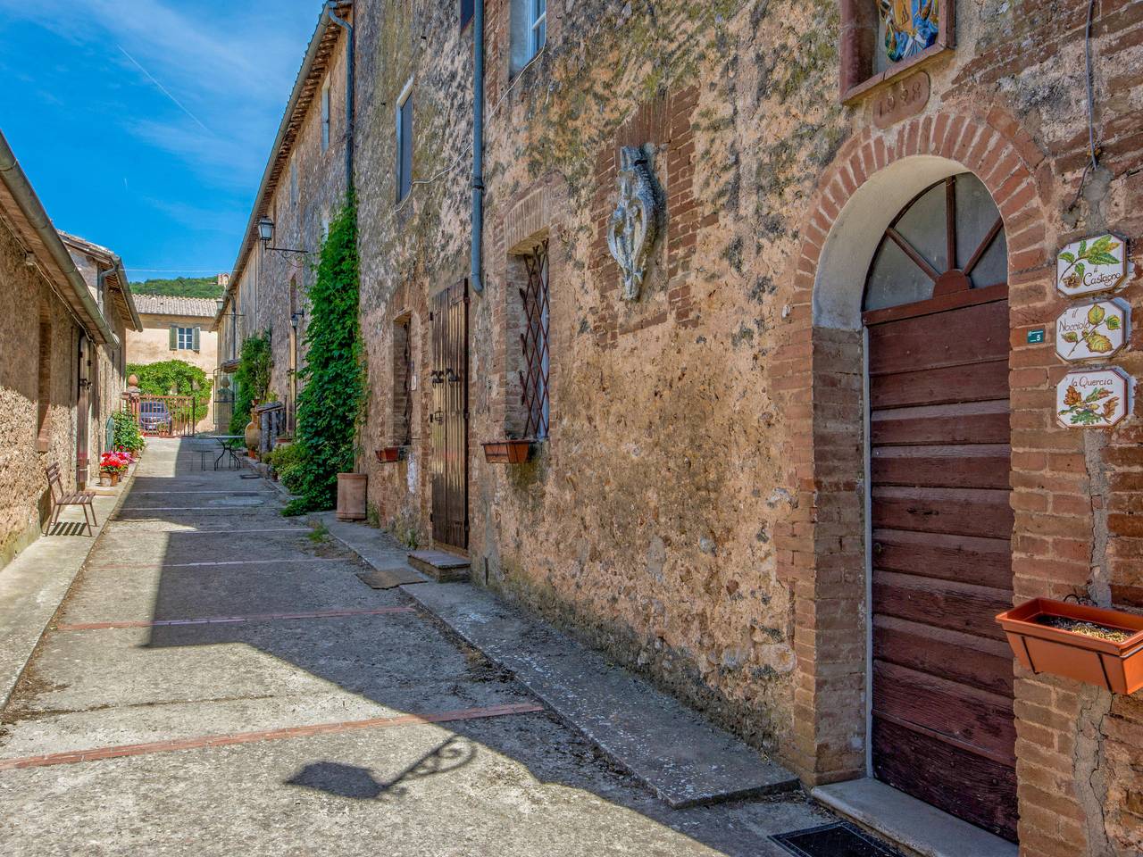immagine prodotto