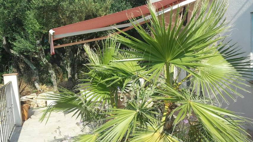 Maison d’hôte pour 4 personnes, avec jardin ainsi que piscine et vue à Lorgues - 2