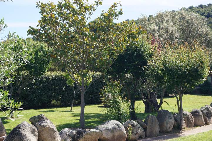 Chambre pour 2 personnes, avec vue et jardin à Porto-Vecchio
