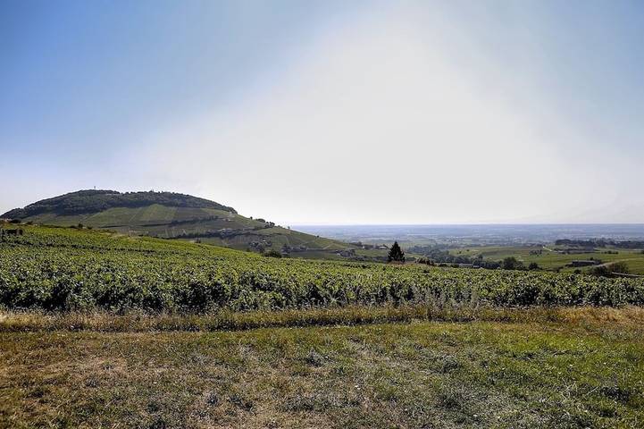 Location de vacances pour 15 personnes, avec jardin et terrasse, animaux acceptés à Odenas