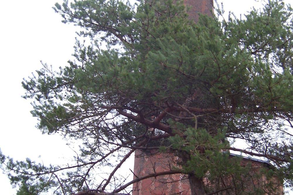 Ganze Wohnung, Ferienwohnung/App. für 2 Gäste mit 40m² in Prerow (170939) in Prerow, Fischland - Darß - Zingst