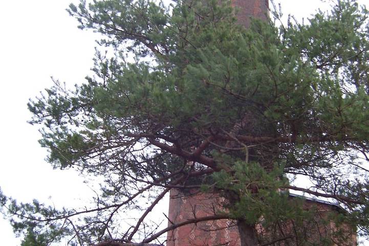 Ferienwohnung für 2 Personen, mit Garten - 1