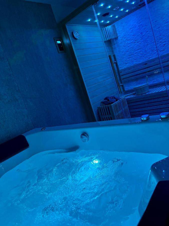 Gîte pour 2 personnes, avec jacuzzi ainsi que jardin et sauna à Chargé - 4