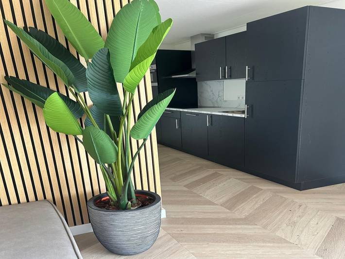 Vacation rental for 8 people, with Terrace and Hot tub as well as Sauna in The Netherlands