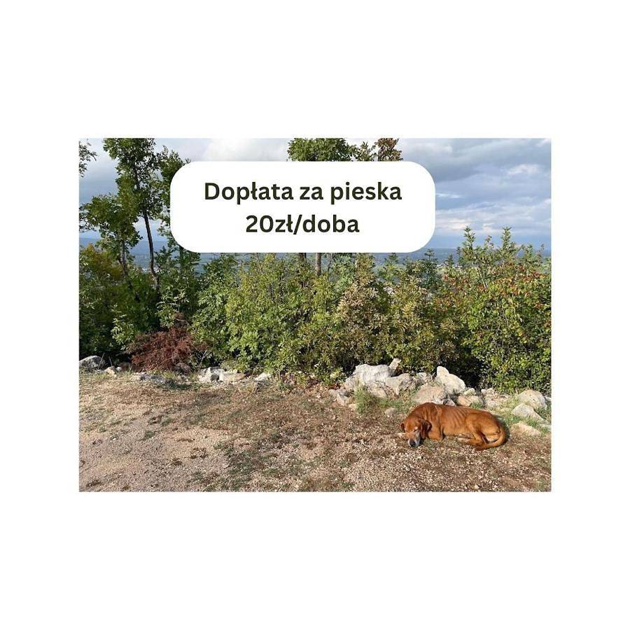 Łąkowa Dolina - domek letniskowy in Supraśl, Podlasie