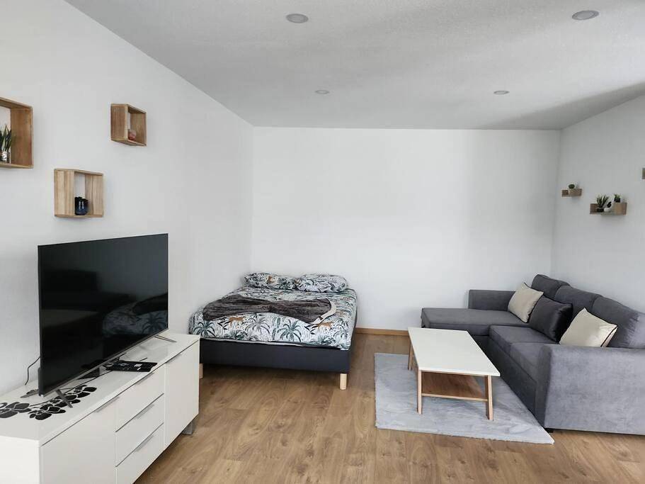 Appartement entier, Joli Studio in Delle, Massif du Jura