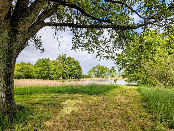 Charmantes Haus mit Privatem Teich im Herzen von Berry in Saulnay, Le Blanc und Umgebung