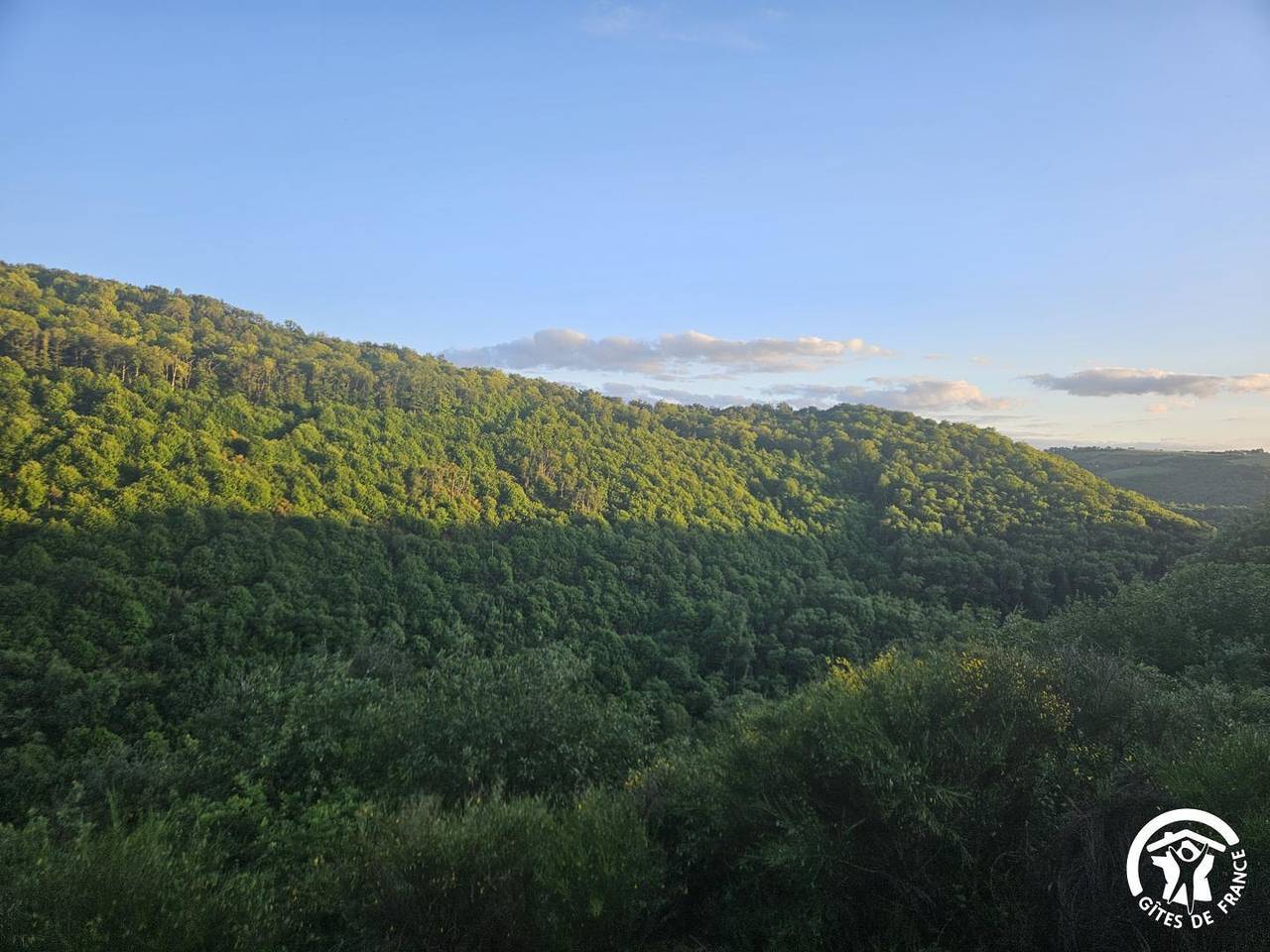 La Tourrette in Región de Albi