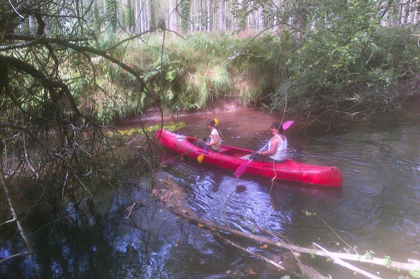 Maison près des plages Côte de Granit Rose in Langoat, Région de Lannion