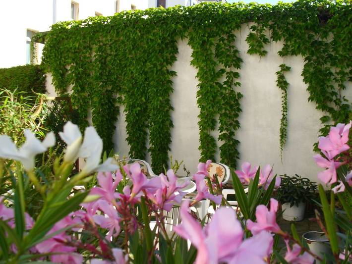 Ferienwohnung für 2 Personen, kinderfreundlich in Cotta - 2