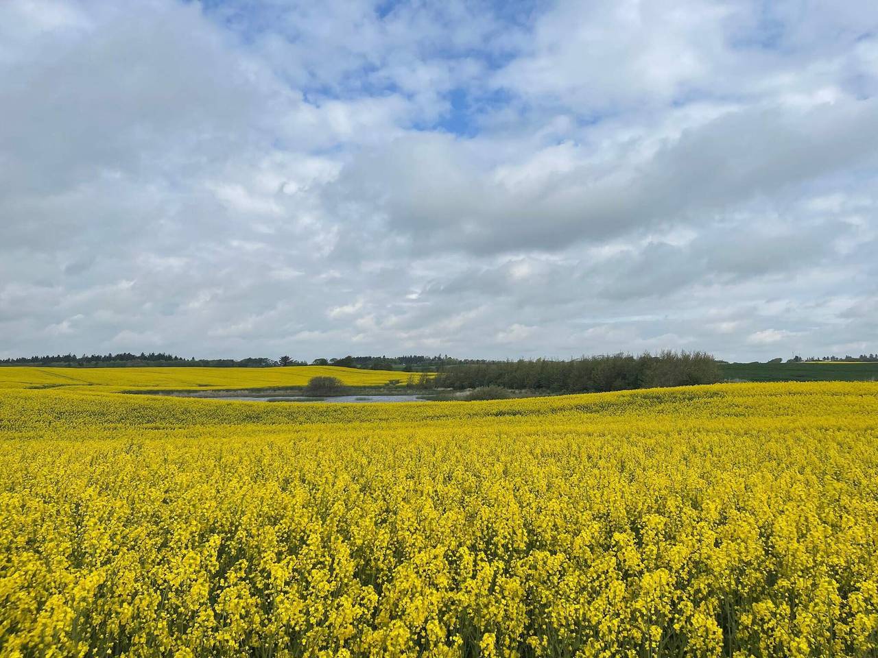 Dyllisk opholdssted i nord -- By Traum Ferienwohnungen in Thisted, Thy Nationalpark