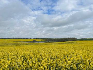 Ferienhaus für 7 Personen in Vorupør, Thy Nationalpark, Bild 3