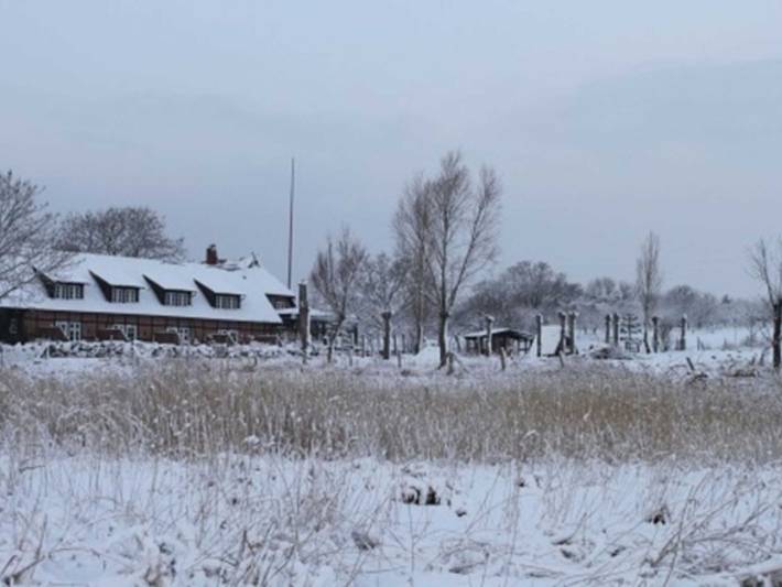 Ferienwohnung für 4 Personen, mit Terrasse und Seeblick sowie Garten, kinderfreundlich in Middelhagen - 3