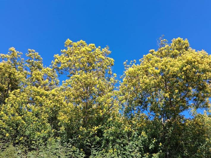 Gîte pour 2 personnes, avec vue ainsi que piscine et jardin à Peymeinade - 4