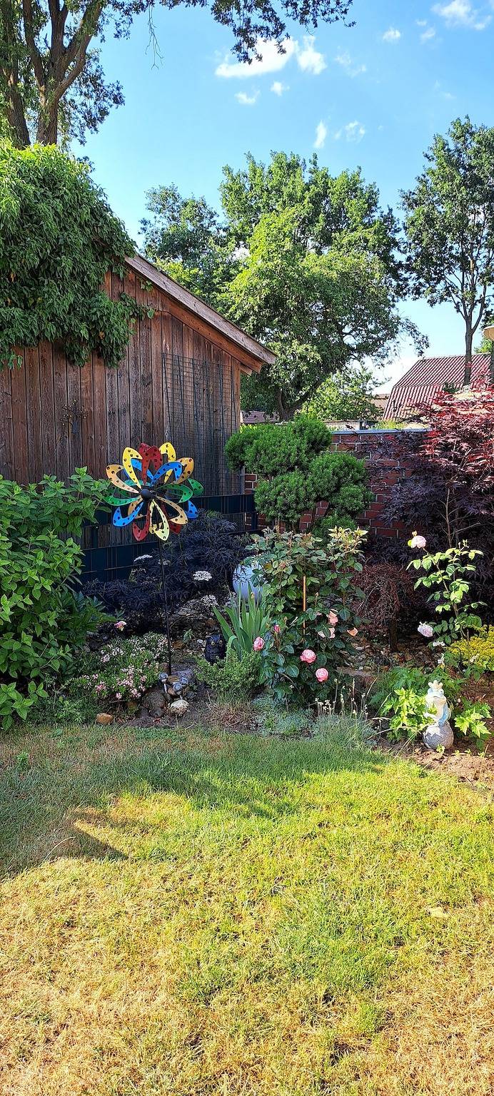 Ferienhaus für 6 Personen, mit Terrasse und Garten, mit Haustier im Oldenburger Münsterland - 3