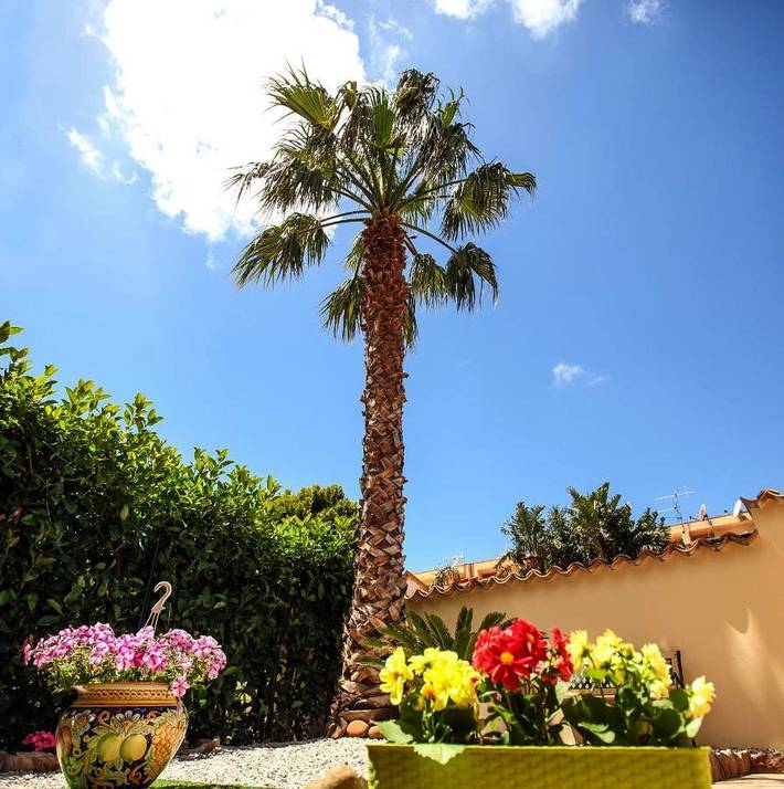 Location de vacances pour 2 personnes, avec jardin et balcon à Cinisi - 3