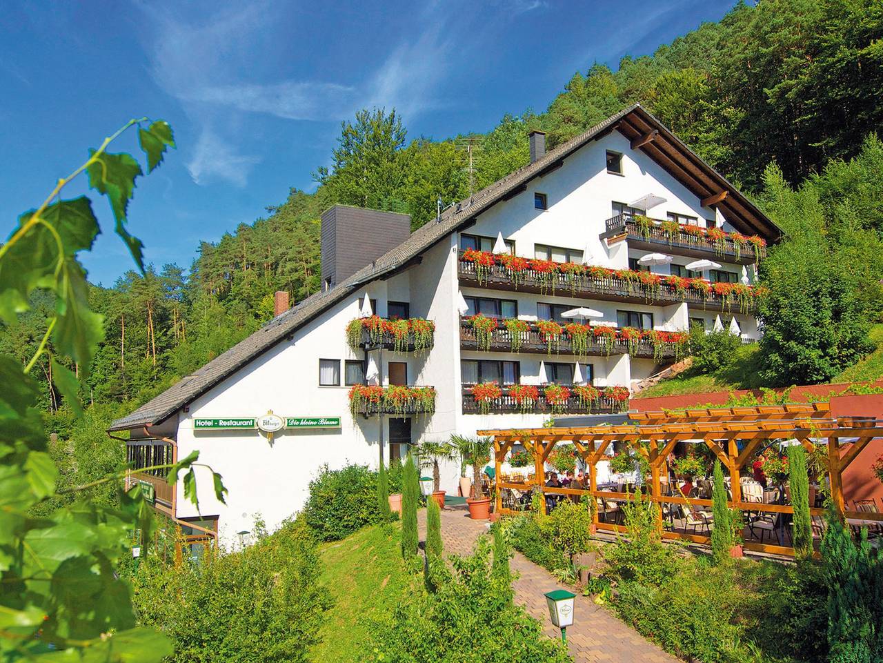 "Die Kleine Blume", Hotel-Restaurant - Doppelzimmer Dusche/Wc in Erfweiler, Pfalz