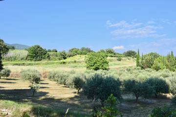 Maison De Vacances pour 8 Personnes dans Lourmarin, Parc naturel régional du Luberon, Photo 2