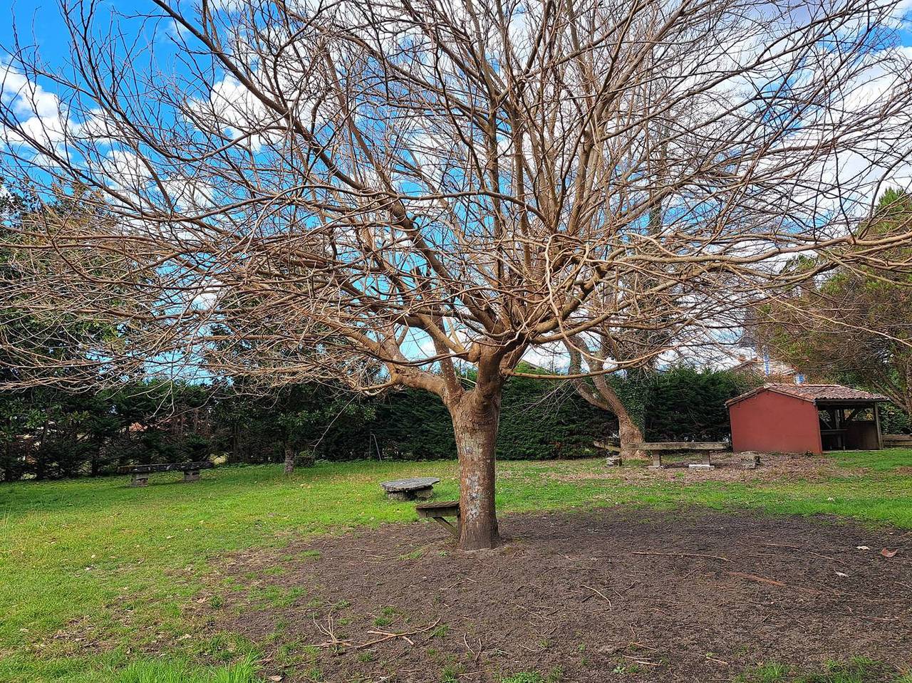 Spacieuse maison de village proche ruisseau in Lévignacq, Région de Dax