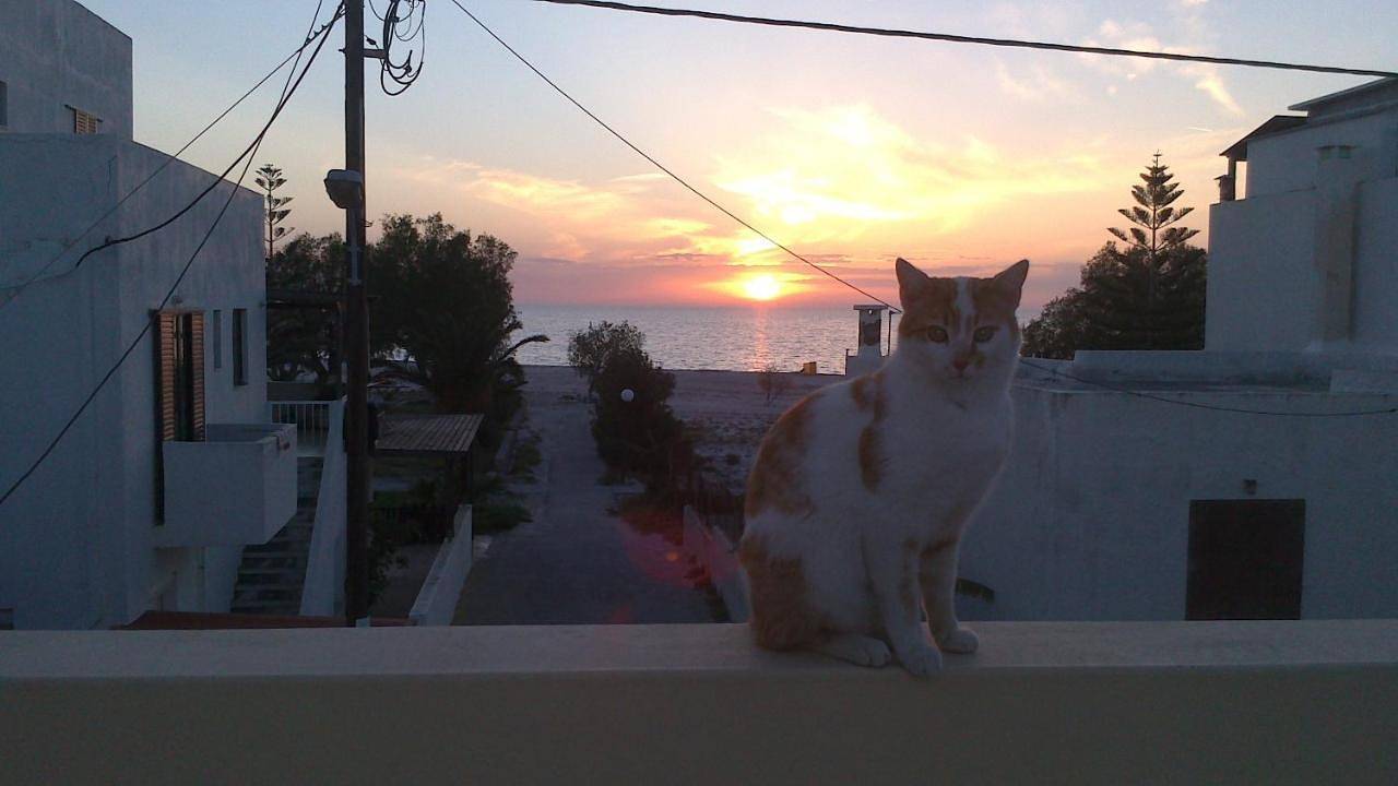 Appartement entier, Apartment in Mastichari, Cos