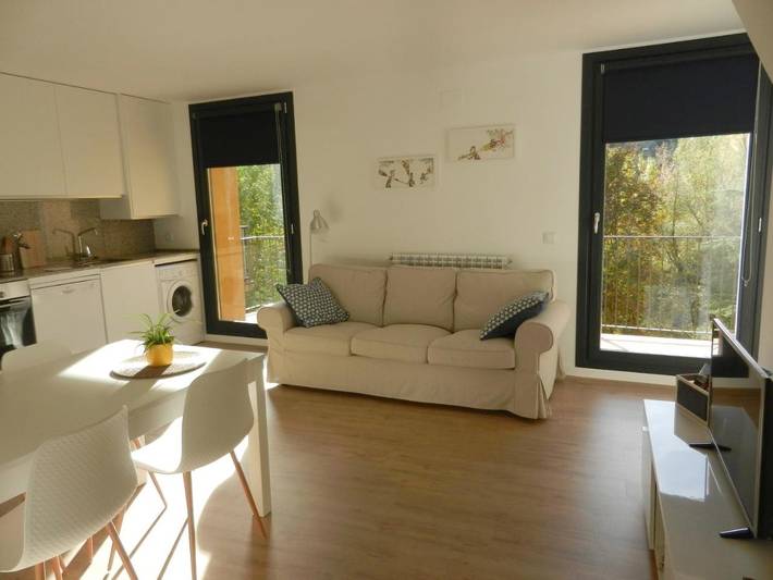 Gîte pour 3 personnes, avec vue et terrasse à El Pont de Suert - 3