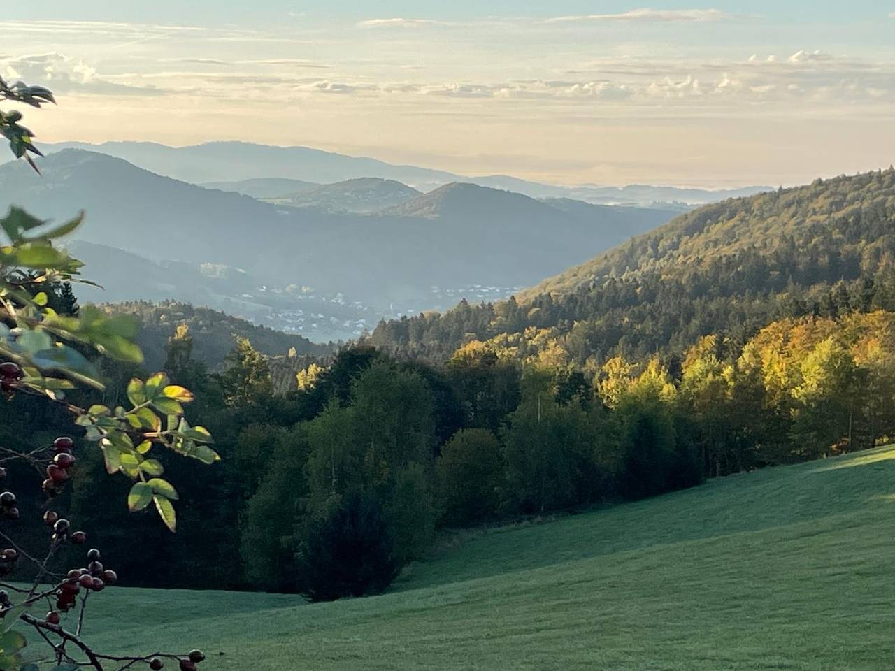 Haus Panorama - Ferienwohnung 1 mit Balkon in Hohenau, Ostbayern