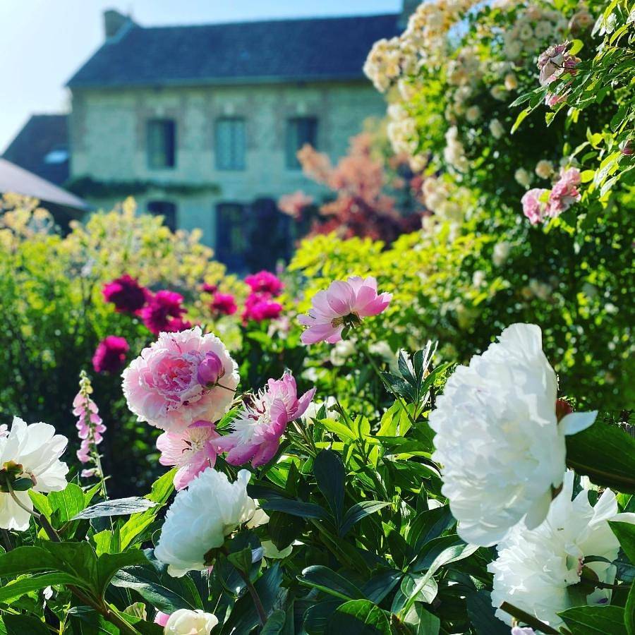 La Maison d'Aline - Honfleur - Maison d'Hôte De Charme A La Normande in Pennedepie, Région de Lisieux