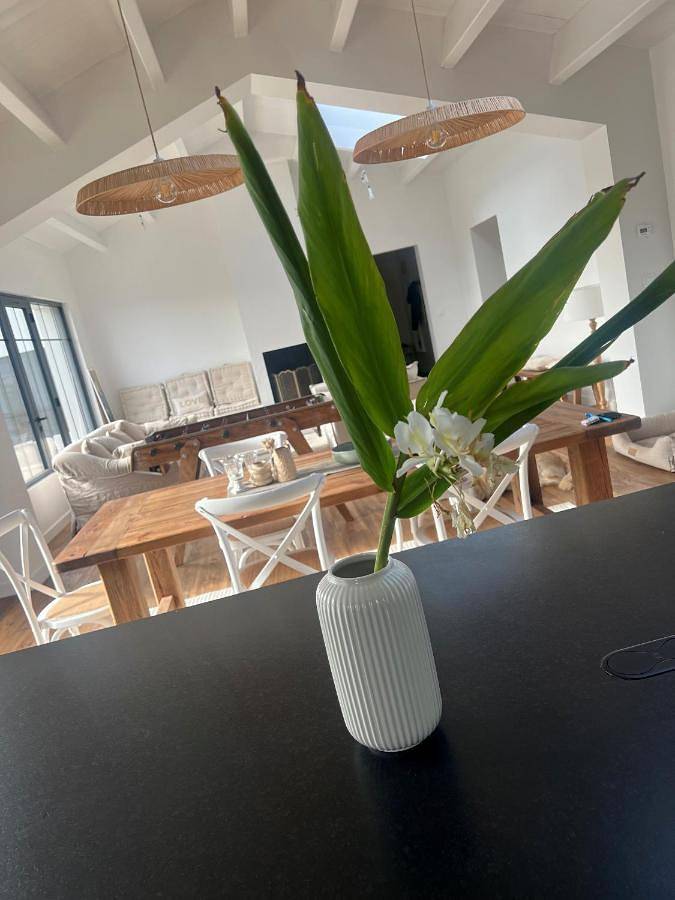 Location de vacances pour 8 personnes, avec terrasse et piscine dans Port Joinville - 2