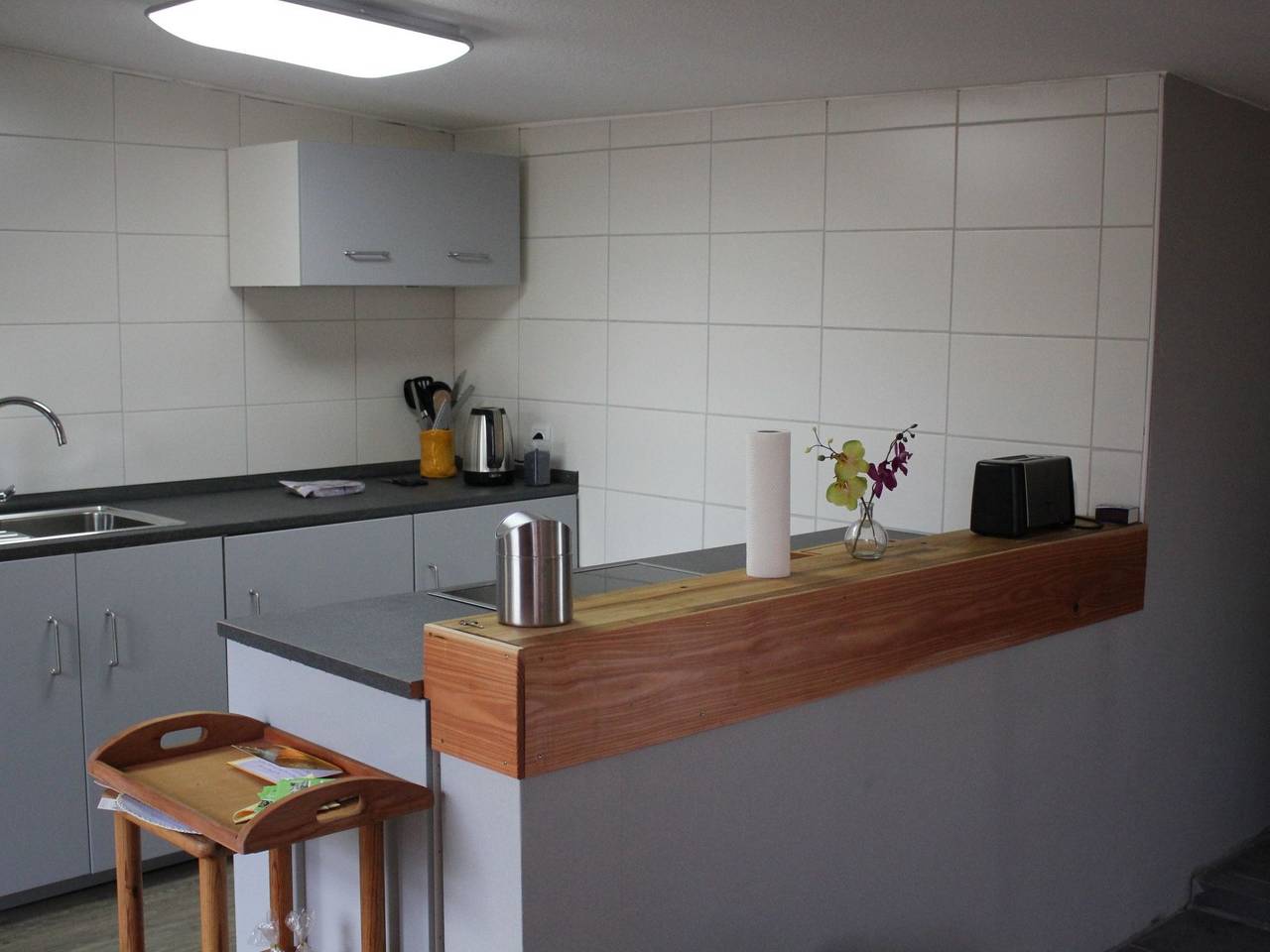 Waldrand in Ascheffel in Hütten, Rendsburg-Eckernförde