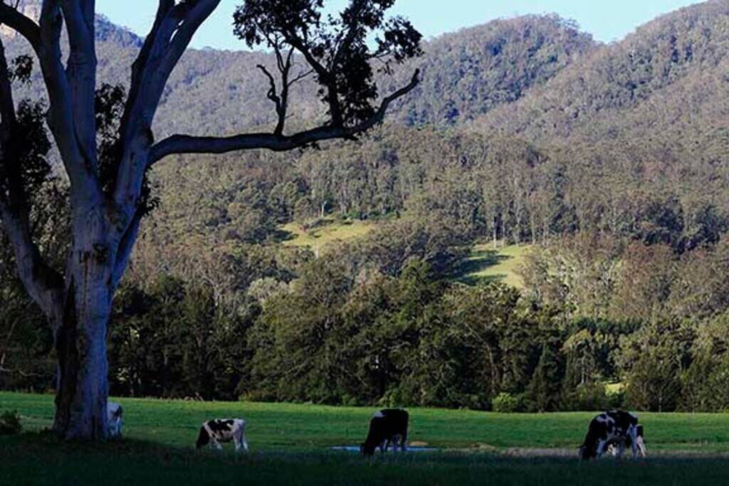 Nalya Kangaroo Valley - Stunning house & views in Barrengarry, New South Wales
