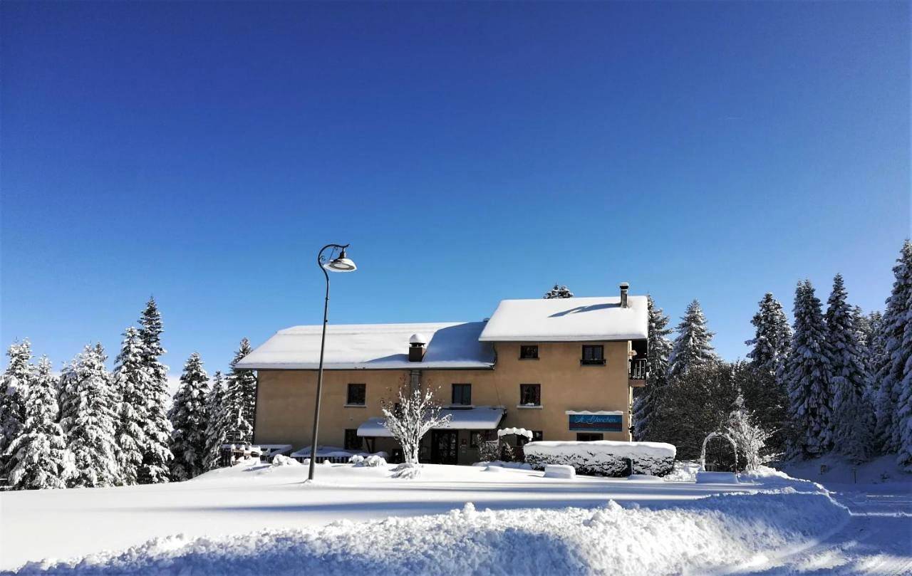 Large Family Room (6 Adults) in Selonnet, Alpes-de-Haute-Provence
