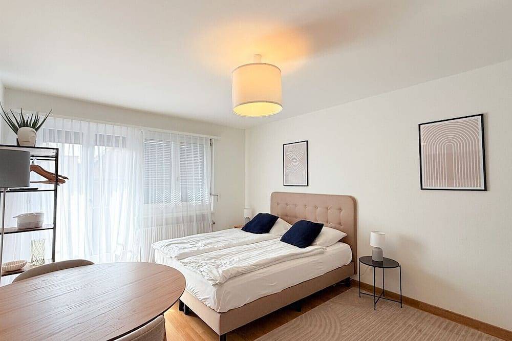 Ganze Wohnung, Cute studio in the center - Crown 42 in Zürich, Bezirk Zürich