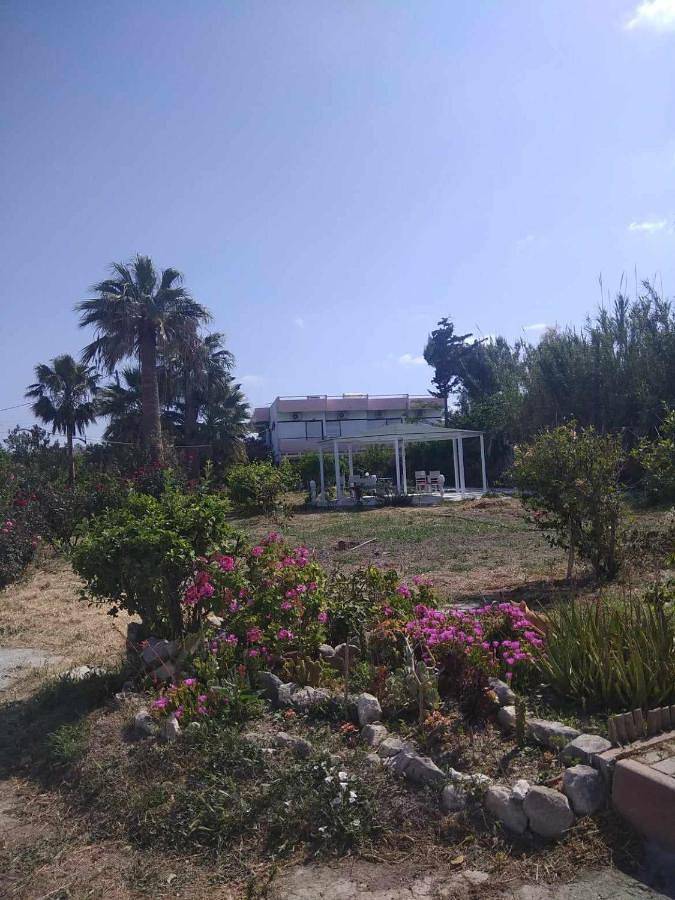 Violetta Hotel in Région d'Iraklio-Héraklion