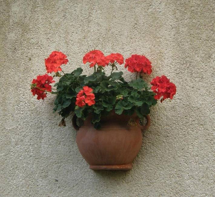 Ferienwohnung für 2 Personen, mit Garten in Plattensee Südufer - 3