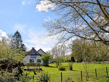 Ferienwohnung für 3 Personen, mit Terrasse und Garten, mit Haustier in Patzig