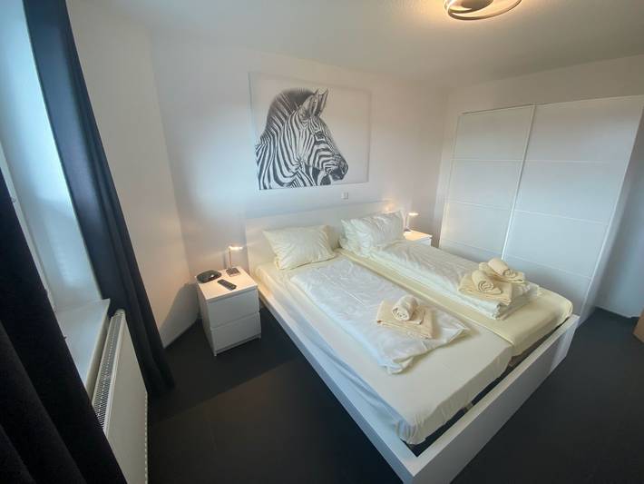 Ganze Wohnung, Geräumiges Apartment mit Balkon in Willingen in Willingen, die Mittelgebirge