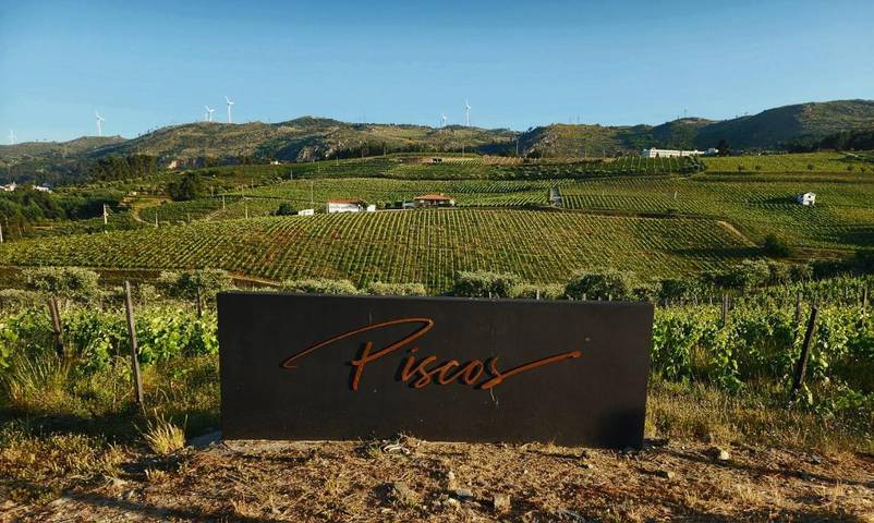 Maison de campagne pour 2 personnes, avec piscine ainsi que jardin et vue dans Tabuaço