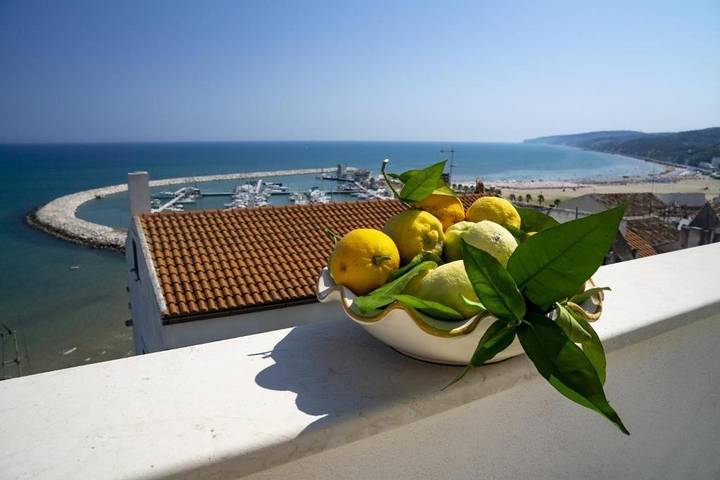 Ferienwohnung für 3 Personen, mit Terrasse - 1