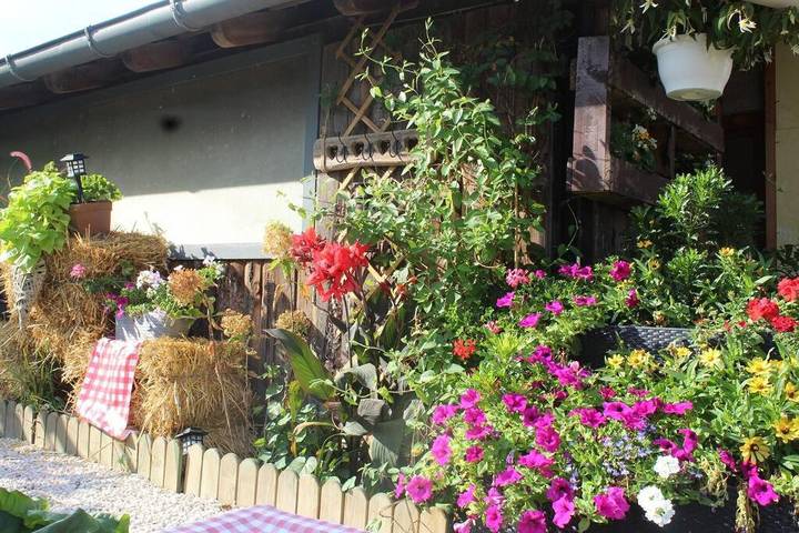 Location de vacances pour 3 personnes, avec jardin à Bindernheim - 4