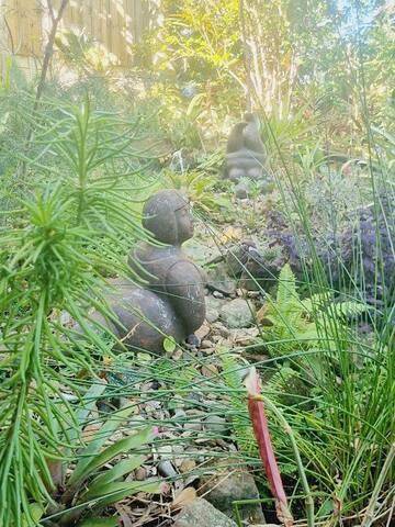 Chambre d’hôte pour 2 personnes, avec jardin et piscine à Brisbane - 2